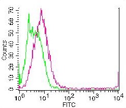 Monoclonal Antibody to Mouse CD28 (Clone: 37.51)